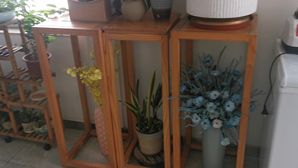 佟大为《外公芳龄38》变“毒舌”吓坏网友 