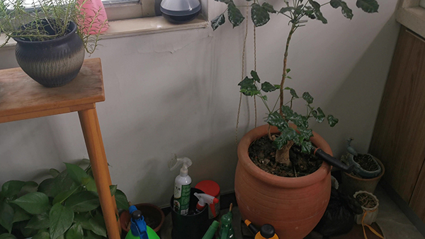 心情不好发的朋友圈 适合心情不好发的朋友圈