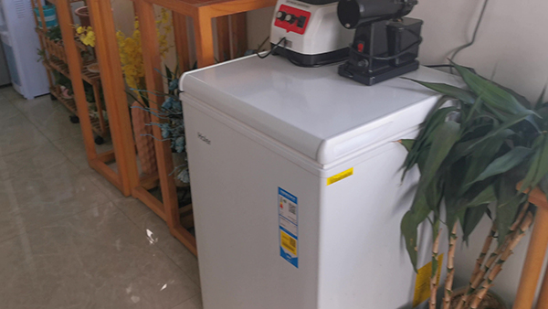 天津包子做法 天津包子的做法视频