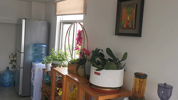 二十四节气寒露祝福寄语