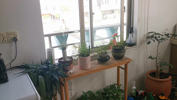 山药豆怎么吃 山药豆怎么吃有营养