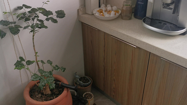 经常喝冰饮料会有湿气吗 孕早期经常喝冰饮料会怎样