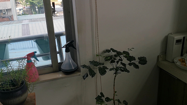 求好看的小说无CP 求好看的修仙小说