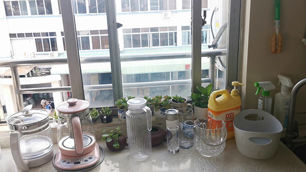 寓言故事及寓意 寓言故事及寓意和道理50字