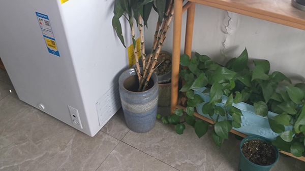 沙溢携子加盟爸爸4！萌娃太多你喜欢谁？ 