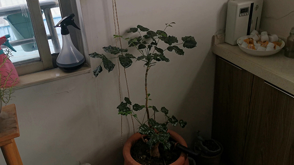 oppo手机怎么录屏幕视频 oppo手机怎么录屏幕视频带声音