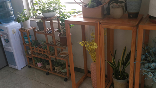 2022毕业好就业的专业女生 