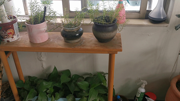 抖音上很火的个性签名唯美句子 