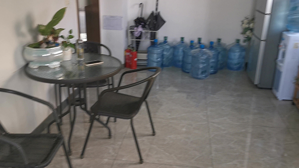 宝可梦5v什么意思