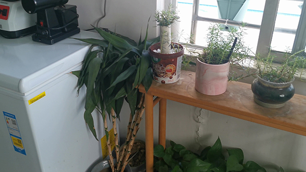 表达往事伤心难过的话 表达伤心难过的句子