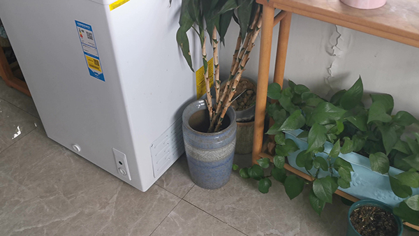 有些人,有些事,淡淡想起就好 想起有些人有些事就生气