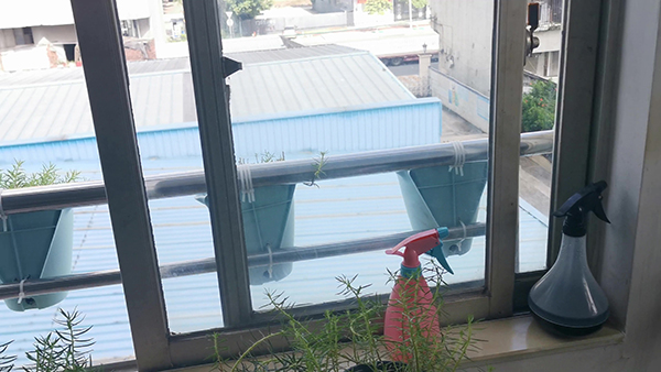 紫薯牛奶馒头怎么做 紫薯馒头用牛奶和面好吃吗