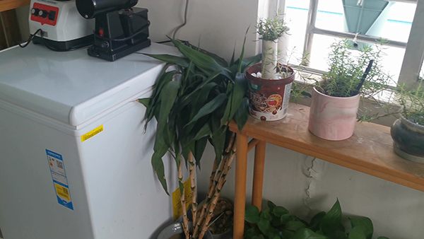 红七军电视剧演员表 红七军电视剧全集