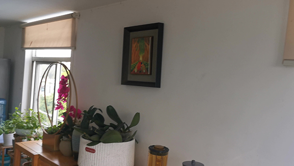 草莓清棚方法 草莓闷棚的方法