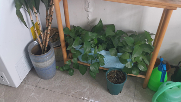 游戏昵称大全 王者荣耀游戏昵称大全