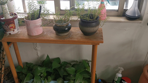 元宵节说说简短 元宵节说说简短2021