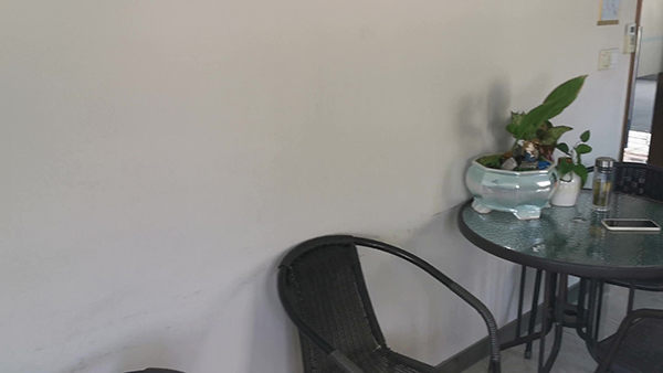 张一山杨紫拜师成龙出演《功夫瑜伽》 