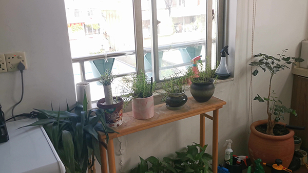 企业庆祝中秋节祝福寄语 企业搬迁祝福长远发展寄语