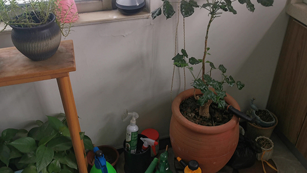 豆腐卤的制做方法 豆腐卤怎么做才好吃