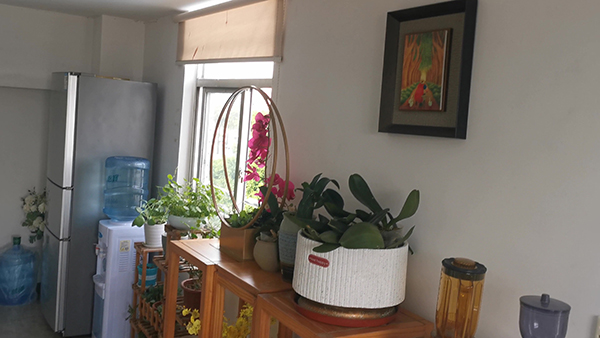 山药豆去皮窍门 山药豆去皮吃还是连皮吃