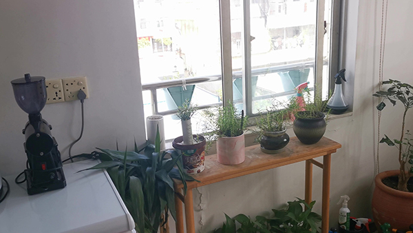 梦见小女孩预示着什么 梦见哄小女孩睡觉预示着什么