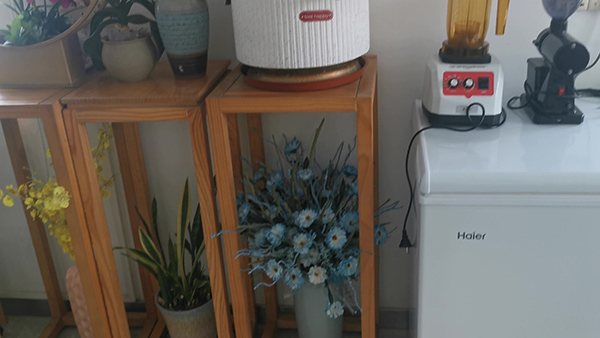 怎么查看支付宝阿里体育活动的收益？以下几点就是的详细