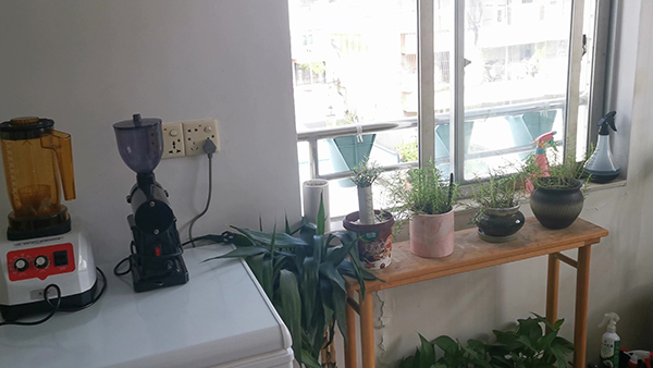 对女朋友爱的唯美句子 对女朋友道歉认错句子