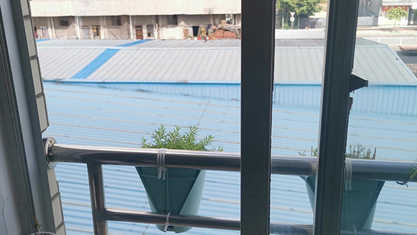 春节对老师寄语祝福 老师对学生的祝福寄语简短