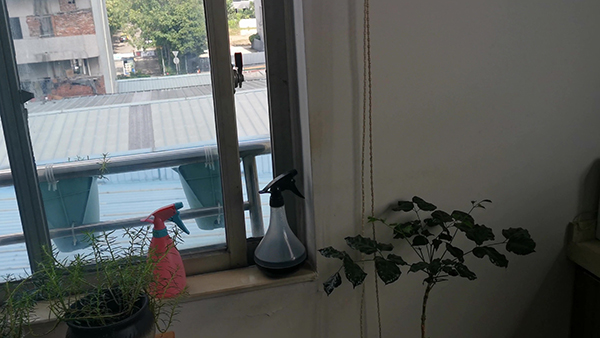 冬至温馨祝福寄语大全