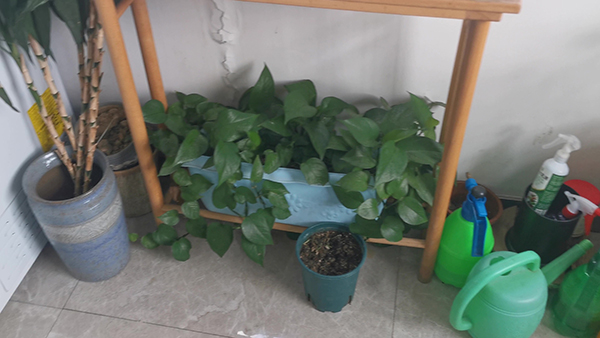 江西旅游必去十大景点有哪些 江西旅游必去十大景点望仙谷