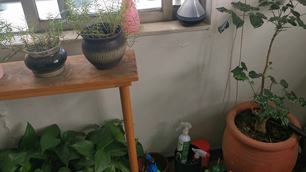 表示自己很累的文案 表示自己心累的文案