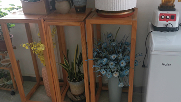 丁志诚携好友做客《影视风云》 