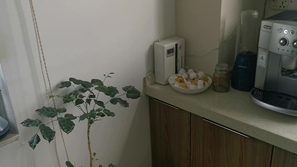 小雪节气的活动是什么 小雪节气的特点是什么