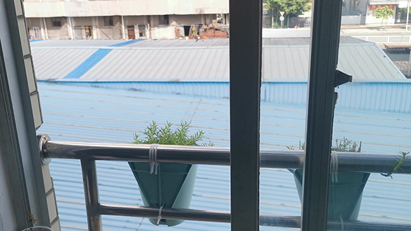 保守、平庸、讨好 