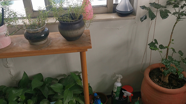 纹眉的画法技巧教程 纹眉教程新手画法