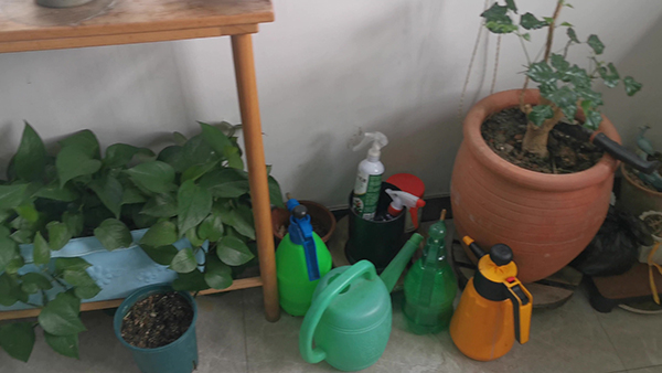 情人节一句话文案 情人节一句话文案搞笑短句