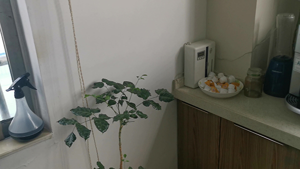 2023年哪个月生男孩的几率高 2023备孕最佳时间表