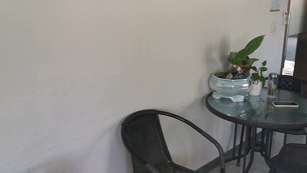 向日葵花语经典话语 向日葵花语经典话语白