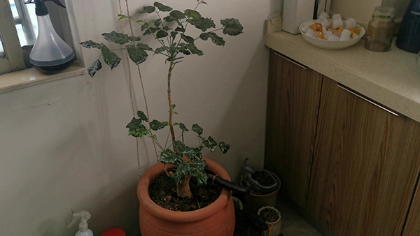 适合发抖音的励志句子大全 发抖音的励志句子简短