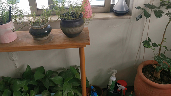 河北正定县无极县有什么历史名人 