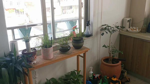 古代皇帝的女人是怎么排名的 