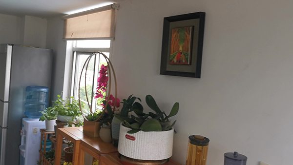 和平精英可不可以回看上一局 和平精英可不可以看整局回放