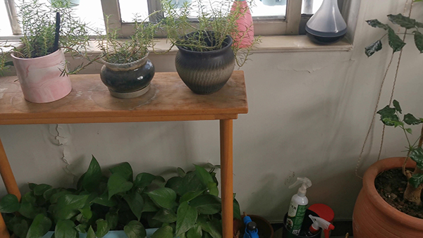 圣诞节贺卡祝福语文案 2021妇女节贺卡祝福语文案80句