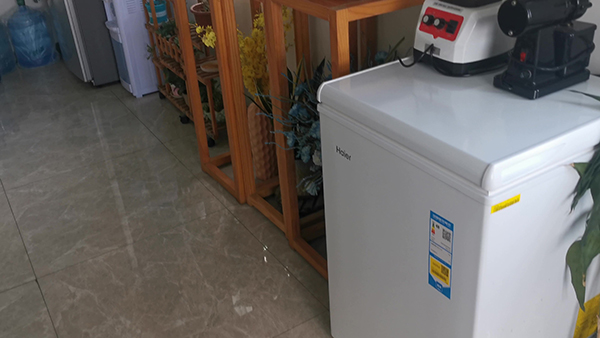 豌豆奶昔制作方法 破壁机奶昔的制作方法