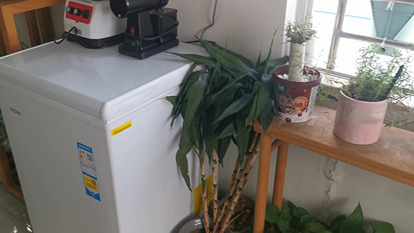 怎么挑选好红糖 怎样挑选真正的红糖