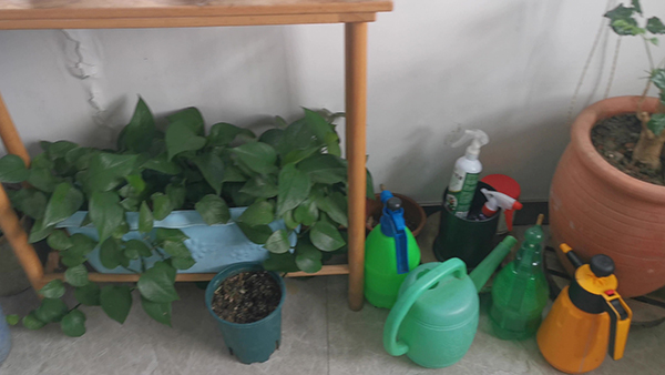 励志小故事 励志小故事短篇50字