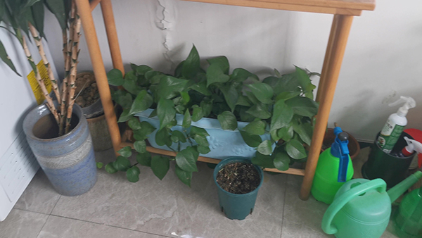 怎样设置QQ空间回答问题才能看？ qq访问空间设置回答问