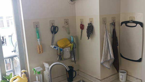 植物的诗歌 植物的诗歌摘抄现代