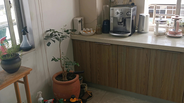 你要留下来陪我就在春天演奏是什么歌 