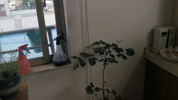 最新唯美治疗爱情的句子 形容爱情的唯美句子